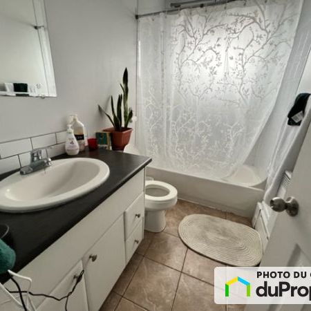 79 Prevost, Gatineau (Hull) à louer - Photo 4