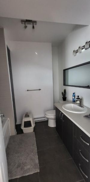 Condo a louer Grand 3 1/2 - Photo 1