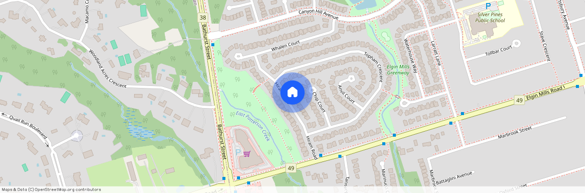 27 Hiram Road Unit# Lower, Richmond Hill