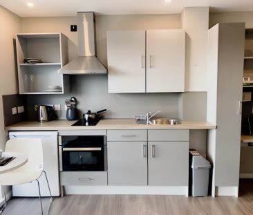 Studio-Gold - Photo 3