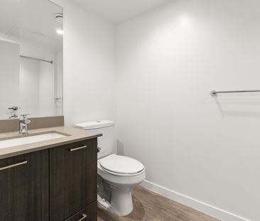 1008 Pandora Avenue, Victoria - Photo 6