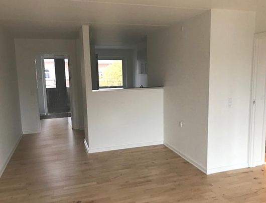 Dejlig 2-værelses lejlighed i hjertet af Odense - Photo 1