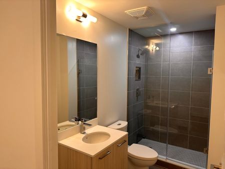 For Lease - 65 Mutual Street Unit# 309, Toronto, Ontario - Photo 3