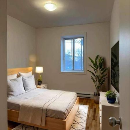 2 CH - 1 SDB - Montréal - $1,335 /mo - Photo 3