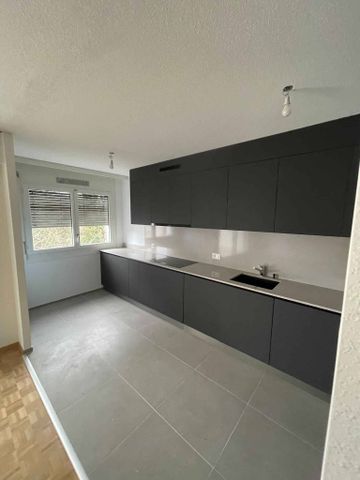 Chemin de la Chevillarde 16A, 1208 Geneva - Photo 3