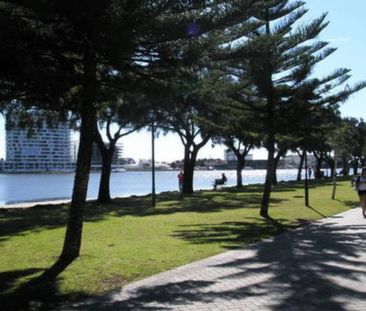 Walk your dog to the beach! - Photo 1