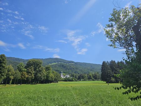 Single-HIT Aigen: kleine Garconniere in Ruhelage - Foto 3