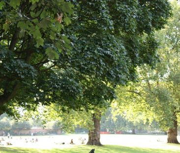 Room in a Shared Flat, Paragon Road, E9 - Photo 4