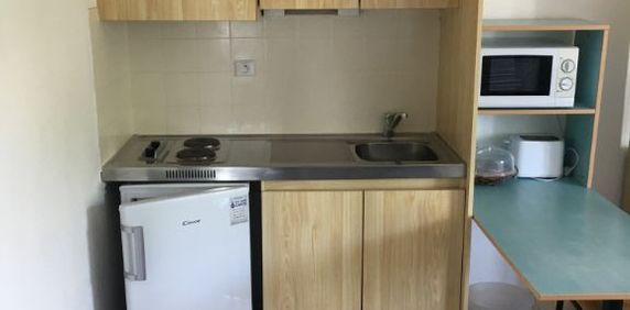 Location Appartement 1 pièce Meublé 26m² MONTPELLIER 34080 - Photo 2