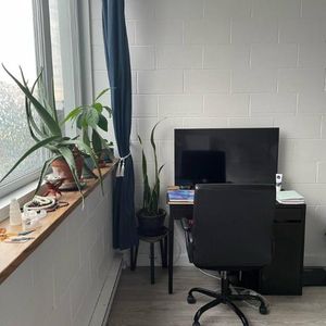 2 1/2 - Québec - 1 095 $/mois - Photo 2