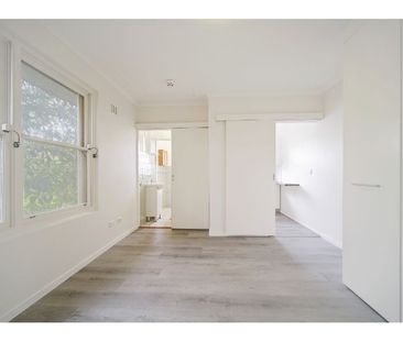 Freshly Renovated and Light Filled Studio in Prime Position - Photo 2