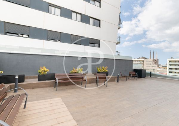 Flat for rent in Canal de Badalona