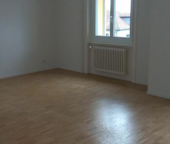 Appartement de 3 pièces avec vue sur le lac - Photo 5