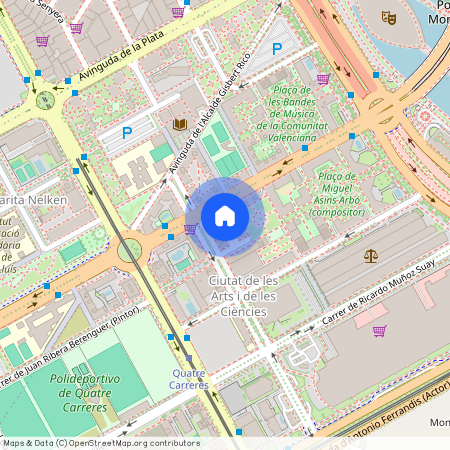 Carrer del Marqués de Lozoya, Valencia, Valencian Community 46013