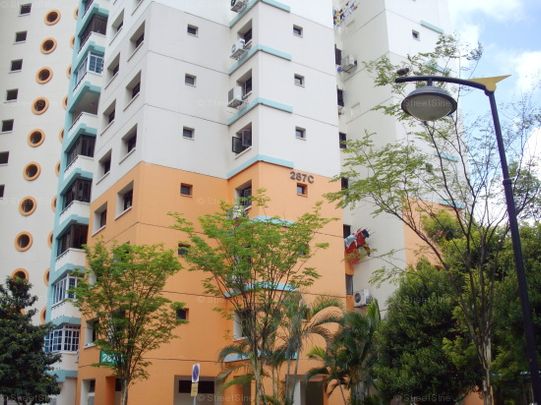 Blk 287C Jurong East Street 21 (Jurong East), HDB Executive - For Rent - Photo 1