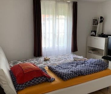 2.5 Zimmer - Photo 2