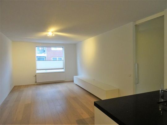 Pablo Picassostraat, 3544NX, Utrecht - Photo 1