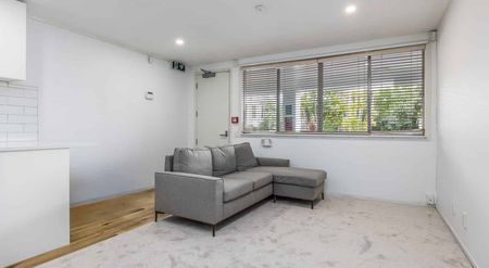 Furnished Studio in Prime Grey Lynn - Photo 3