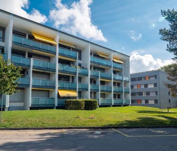 1.5 Zimmerwohnung in Düdingen zu vermieten! - Photo 1