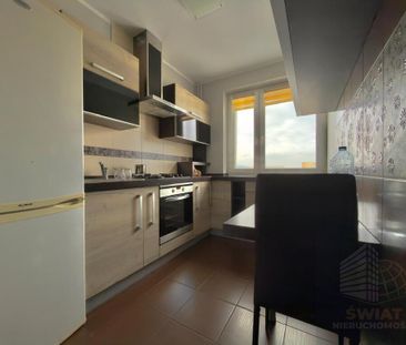 2 Pokojowe mieszkanie na wynajem - ul.Łubinowa - Photo 4