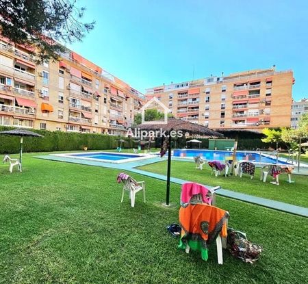 Piso de alquiler en Aguilera, Alipark - Photo 4