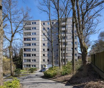 3-Zimmer-Wohnung in Siegen Wenscht - Foto 1