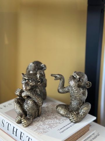 2 Bed Semi-Detached House, Sloane Street, B1 - Photo 3