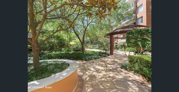 Elegant courtyard apartment in enviable location - Photo 1
