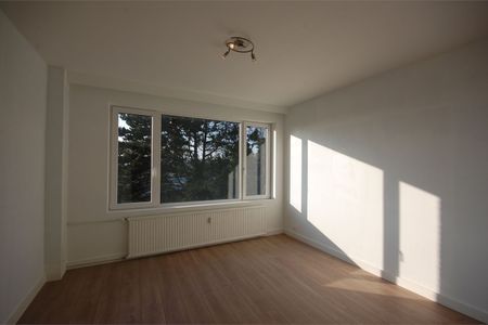 Appartement met terras en 1 slaapkamer - Foto 4