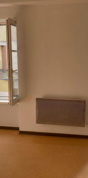Location Appartement 1 pièce 21m² STRASBOURG 67000 - Photo 1
