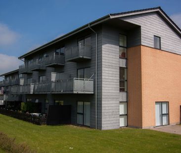 2-værelses Lejlighed på 73 m² i Ringsted - Photo 1
