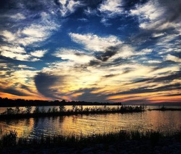 For Lease - 639 Johnston Park Avenue, Collingwood, Ontario - Photo 1