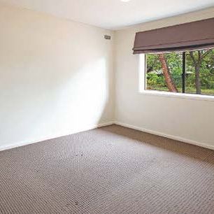 69 Burkitt Street, Page ACT 2614 - House For Rent | Domain - Photo 1