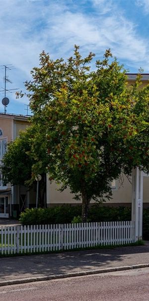 Kyrkogatan 7 - Foto 1