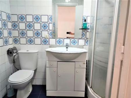 Calle Pelay Correa, Sevilla, Andalusia 41010 - Photo 4