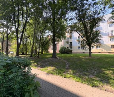Łódź - Mieszkanie na wynajem - Zdjęcie 6