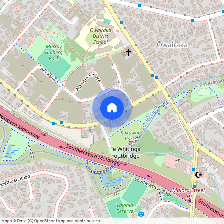 134 Hendon Avenue, Mount Albert, Auckland