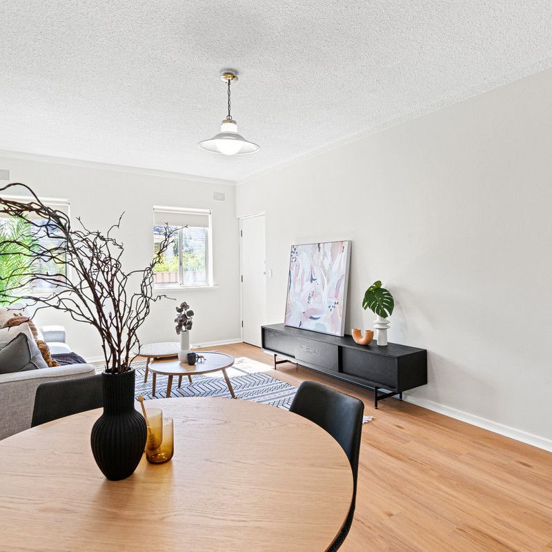 1 & 3/2 Botanic Grove, Campbelltown SA 5074 - Apartment For Rent | Domain - Photo 1