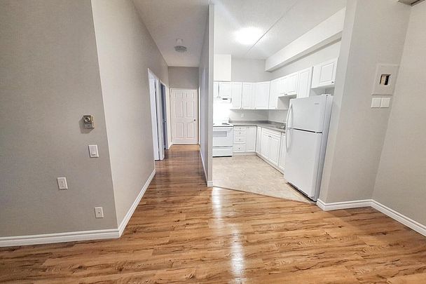 Albert Terrace Apartments - ALL INCLUSIVE - Photo 1