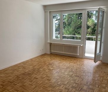 Helle 3-Zimmer-Wohnung im Erdgeschoss in Affoltern am Albis - Foto 1
