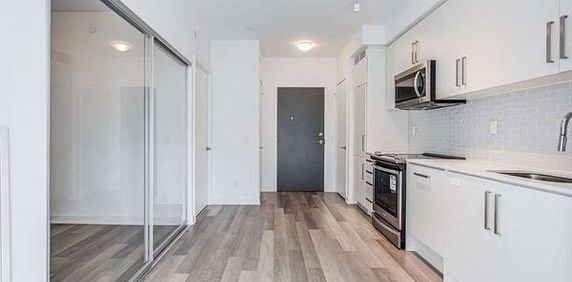 Yonge Street / Park Home Ave Luxury 1Bdrm +Den Modern Kitchen - Photo 2