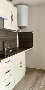 Location Appartement 1 pièce 31m² PLOMBIERES LES DIJON 21370 - Photo 3