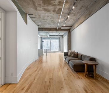 4225 Rue St-Dominique, #307 - Photo 3