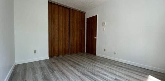 Appartement 1 chambre disponible dès maintenant à Longueuil - Photo 2