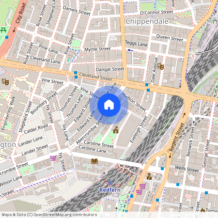 166 Abercrombie Street, Redfern NSW 2016