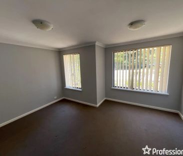 “Caladenia School Zone” - Photo 3