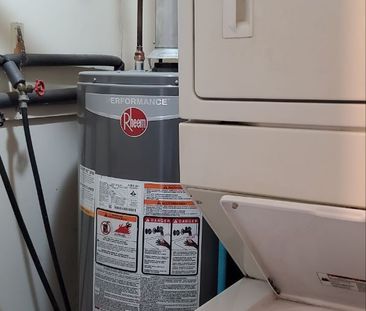 For Lease - 14 Elm Grove Avenue, Richmond Hill, Ontario - Photo 4