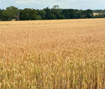 2 bedroom property to rent - Photo 3