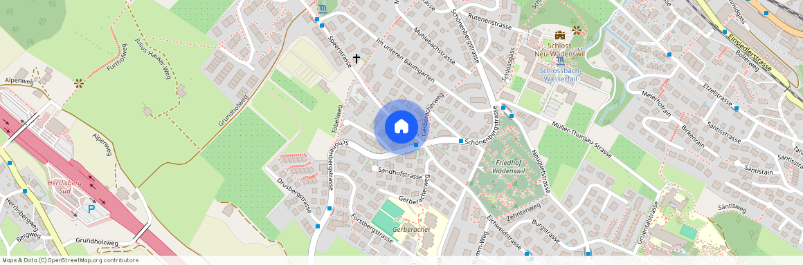 Speerstr, 1, 8820 Wädenswil