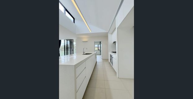 Modern 3 Bedder with Tree Top View - Photo 1